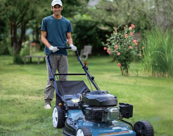 What are the gardening tools in the garden?