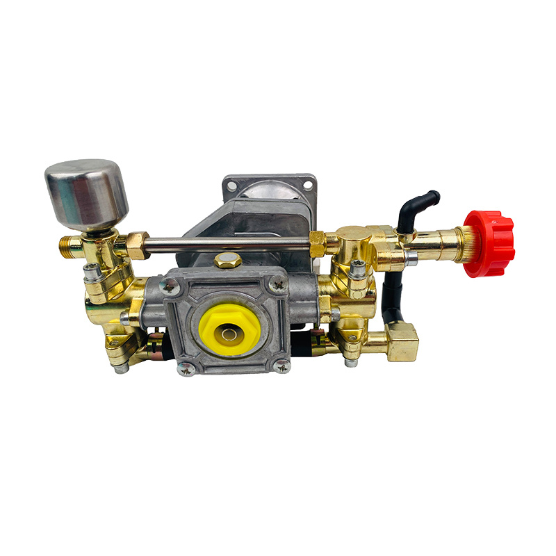 Aluminum pump (greaseless, with air chamber)--high-pressure stainless steel pipe