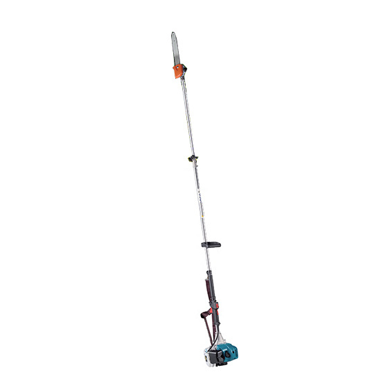 DG260